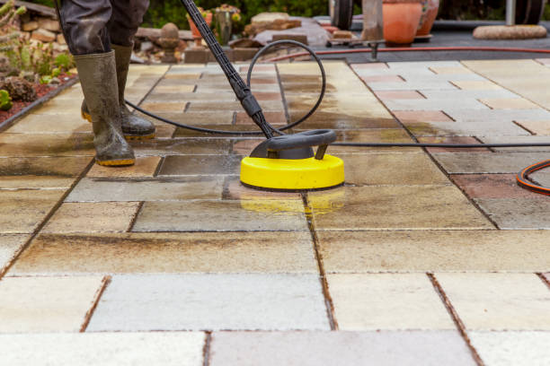 Best Driveway Pressure Washing  in Lumberton, TX