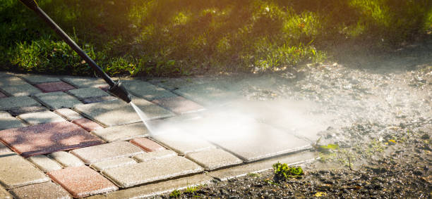 Solar Panel Cleaning in Lumberton, TX